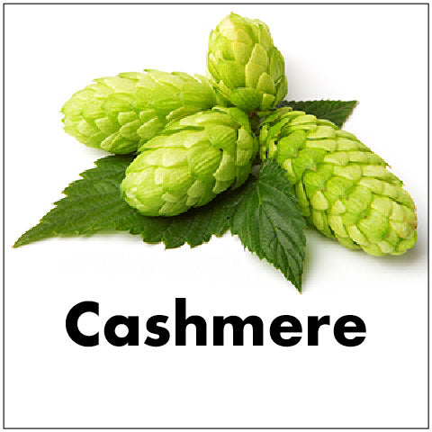Cashmere Hop