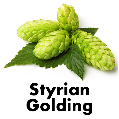 Styrian Golding